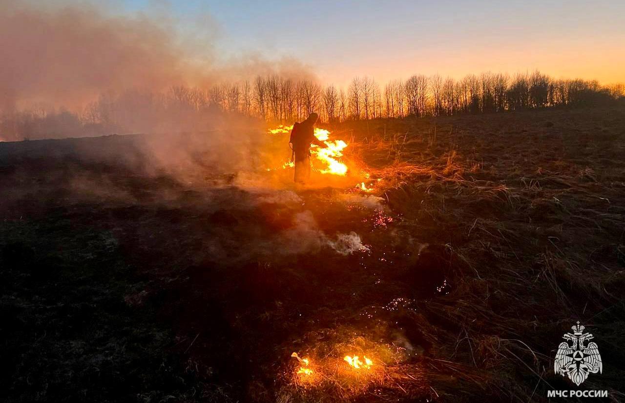 В Торжке чуть не сгорело кладбище  - новости Афанасий
