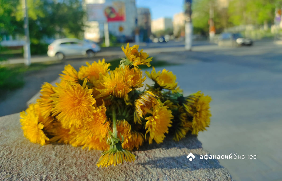 Прогноз погоды в Твери: небесная канцелярия передает эстафету лету Фото: Afanasy.biz