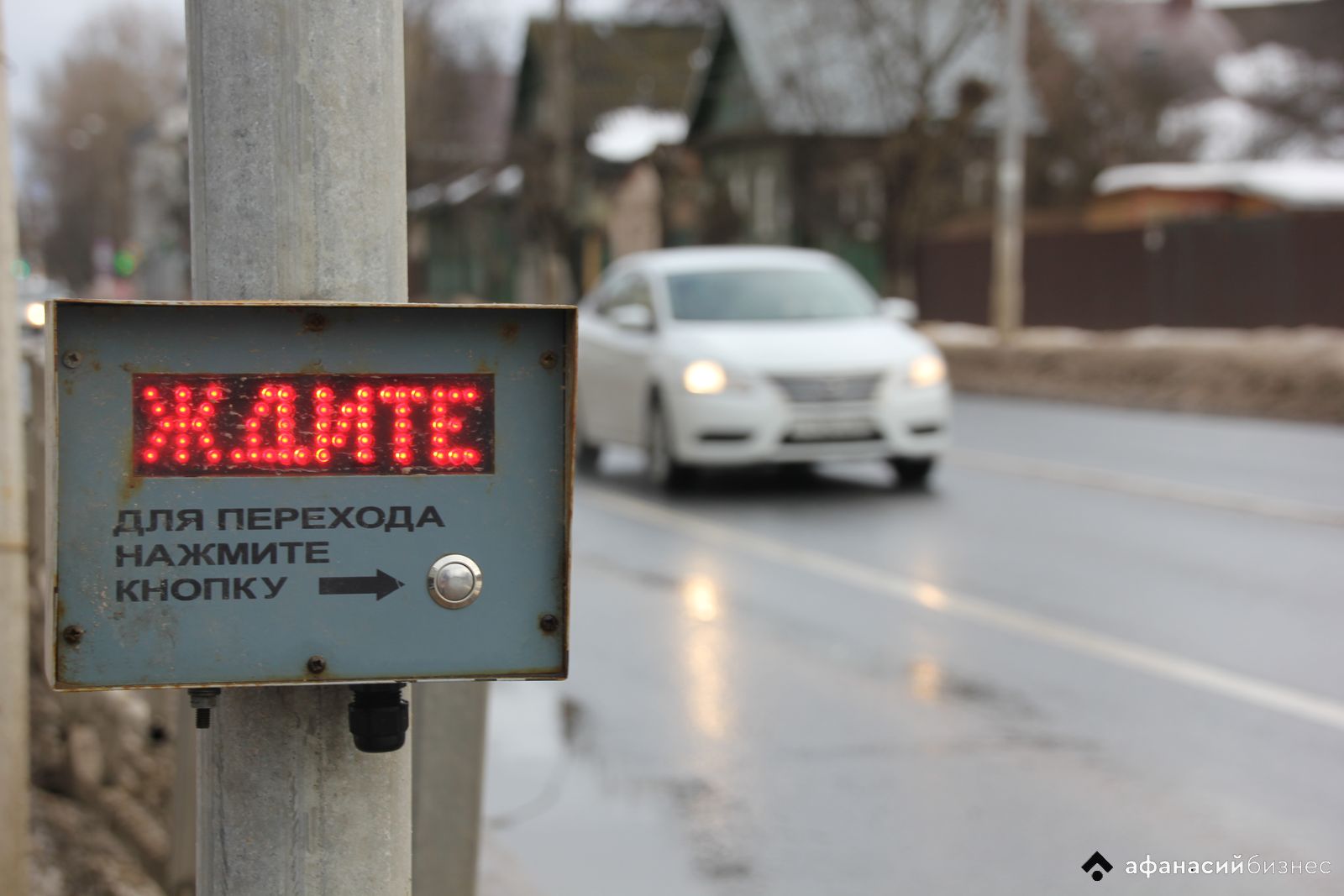 Кто заставляет пешеходов ждать и почему выделенные полосы в Твери – лишь мечты? Главный автоинспектор города о переходах, светофорах и серых заборчиках 