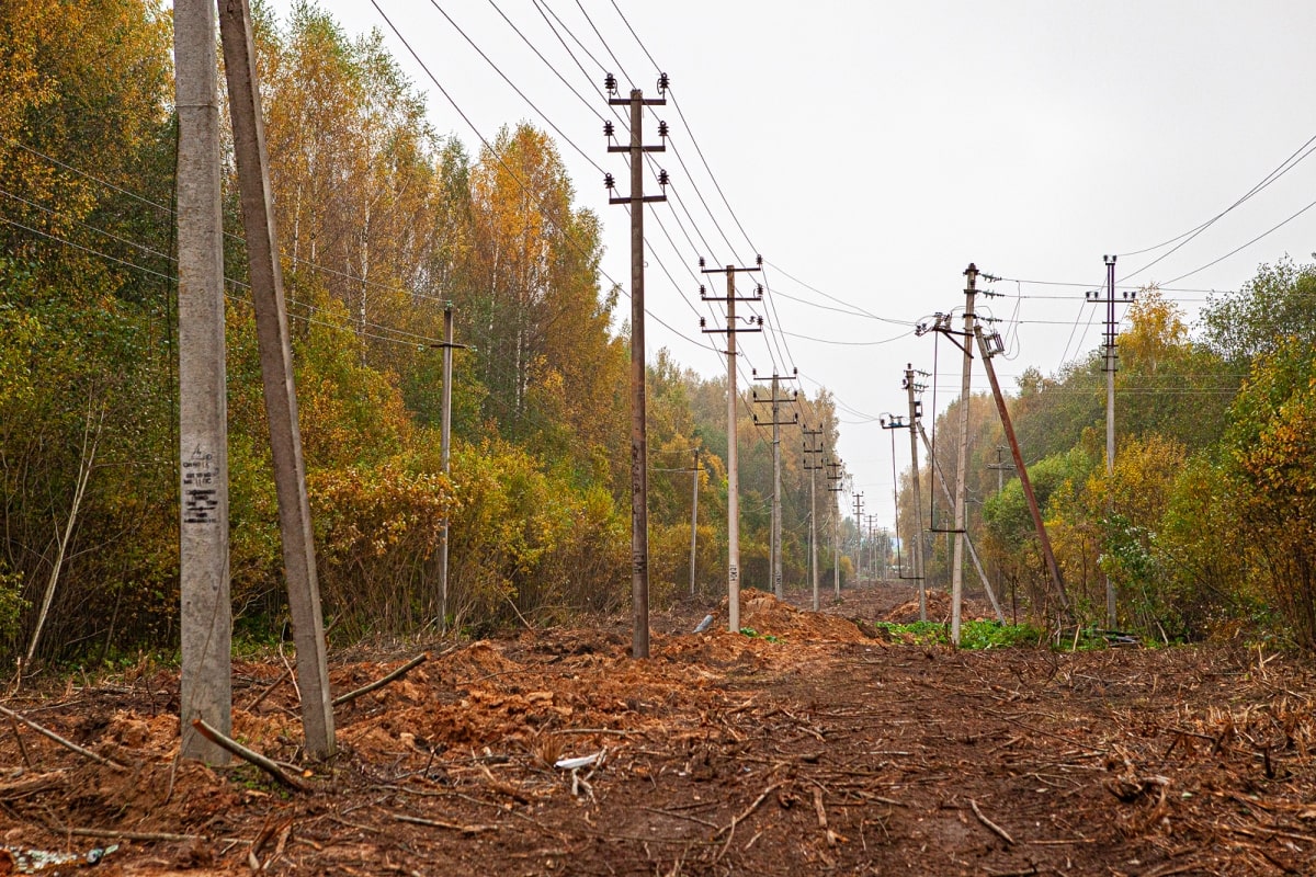 Тверские энергетики выправили и обновили 875 опор линий электропередачи Фото: Диана Журавлева