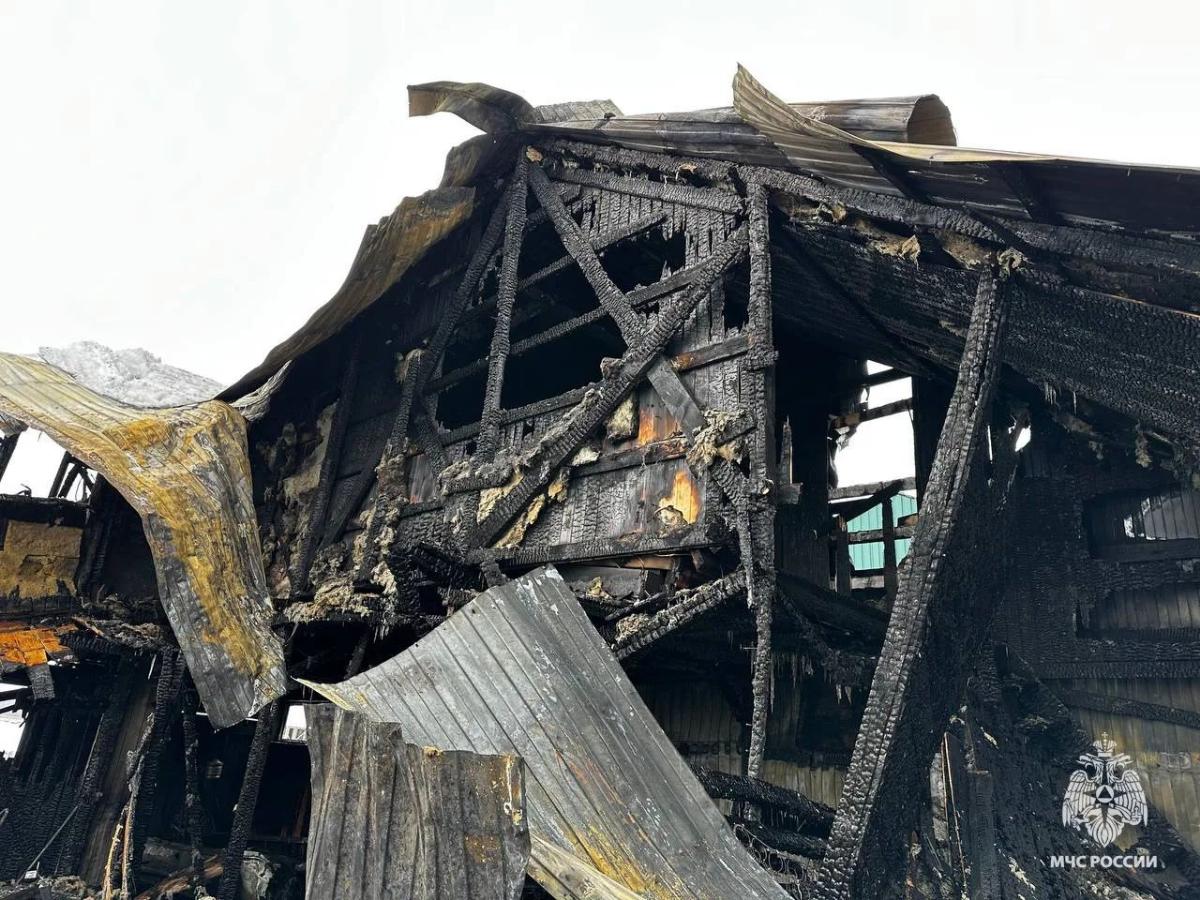 Причиной пожара на лодочной пристани под Кимрами стал поджог Фото: МЧС