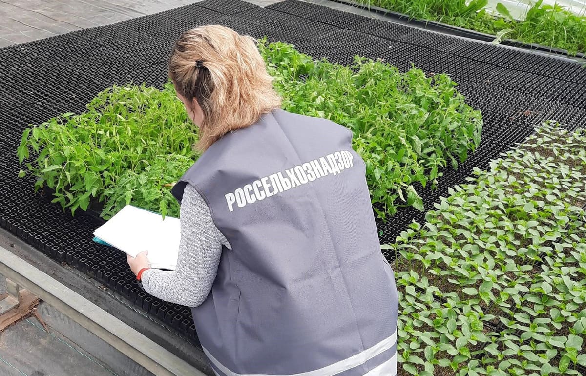 В Тверской области за неделю выдано свыше 300 фитосанитарных сертификатов