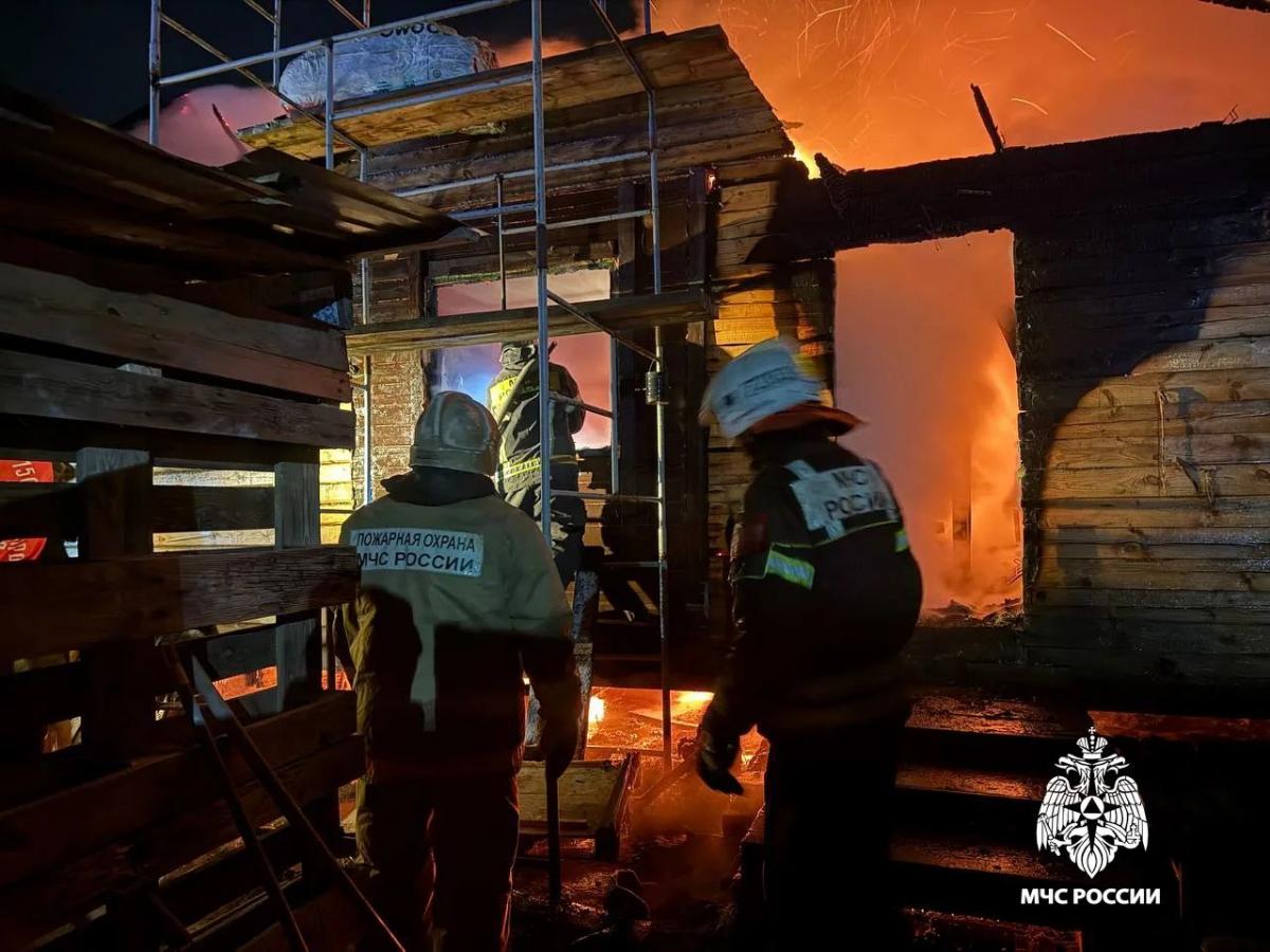 В деревне Черногубово под Тверью горит жилой дом Фото: МЧС