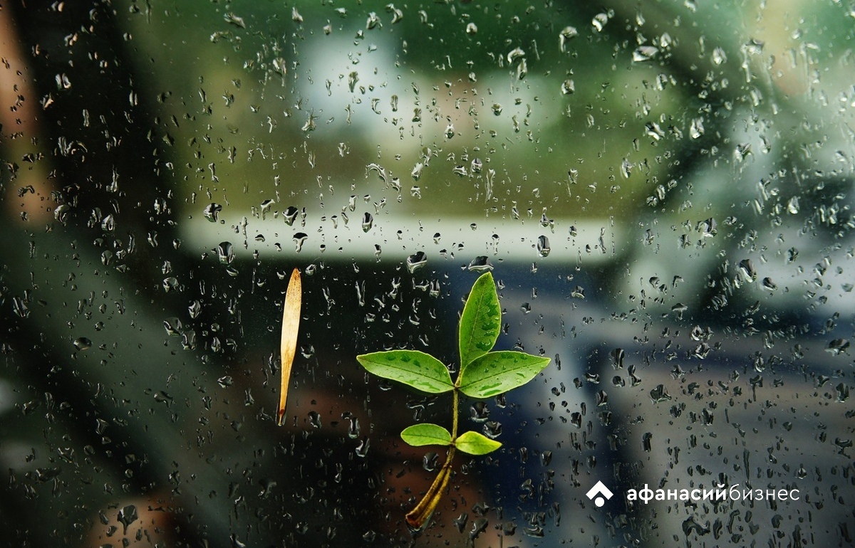 Ураган «Эрин» может добраться до России 