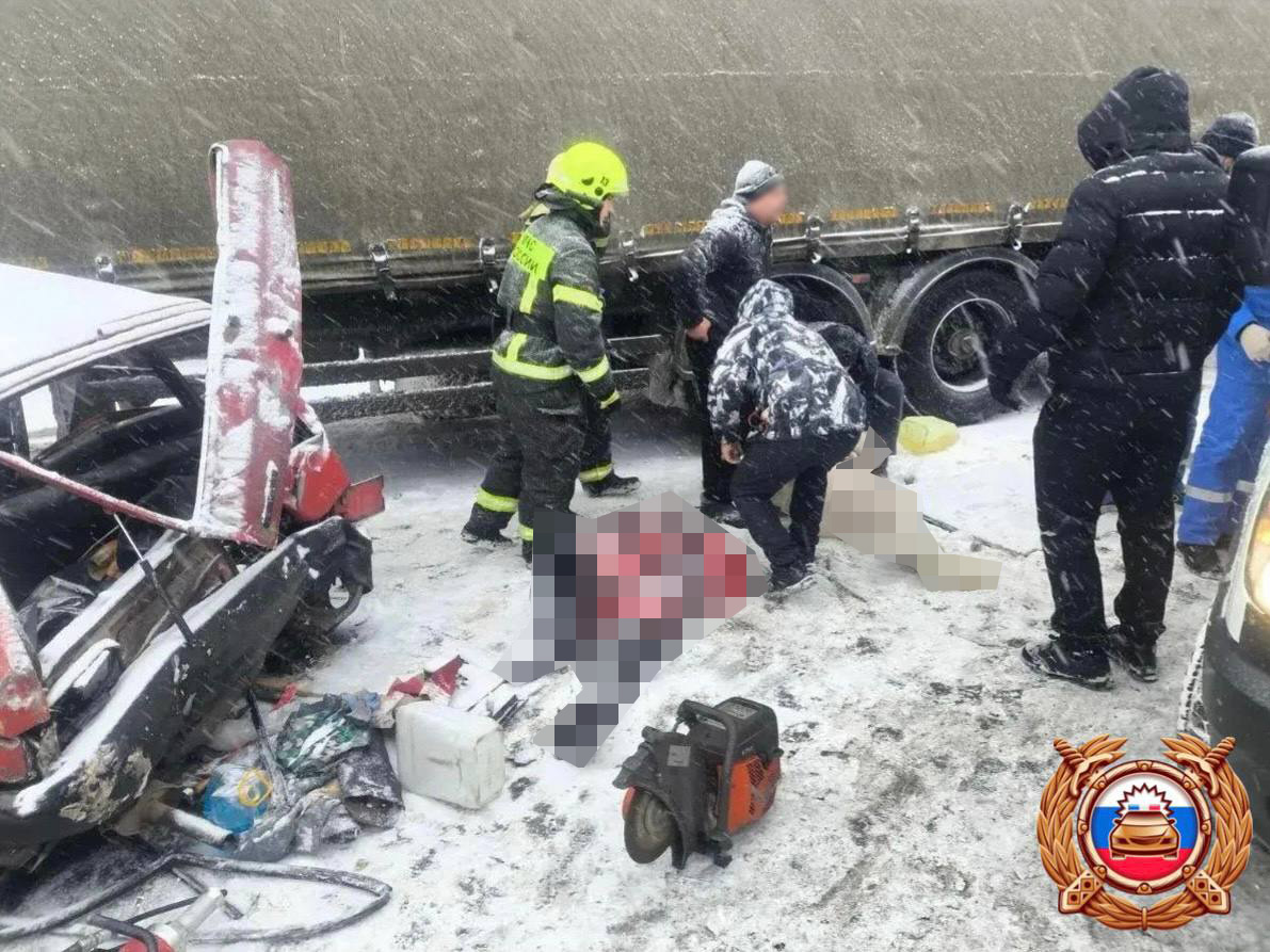 Один человек погиб в результате массового ДТП под Торжком Фото: Госавтоинспекция Тверской области