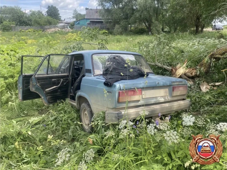 Под Оленино в Тверской области ВАЗ вылетел с дороги и врезался в дерево Фото: ГАИ