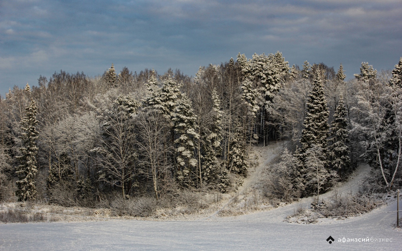 Морозы в Тверской области начали спадать Фото: Павел Успенский / архив редакции
