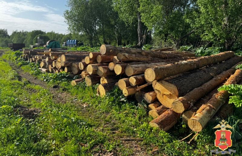 Под Максатихой обнаружили незаконную вырубку леса  - новости Афанасий