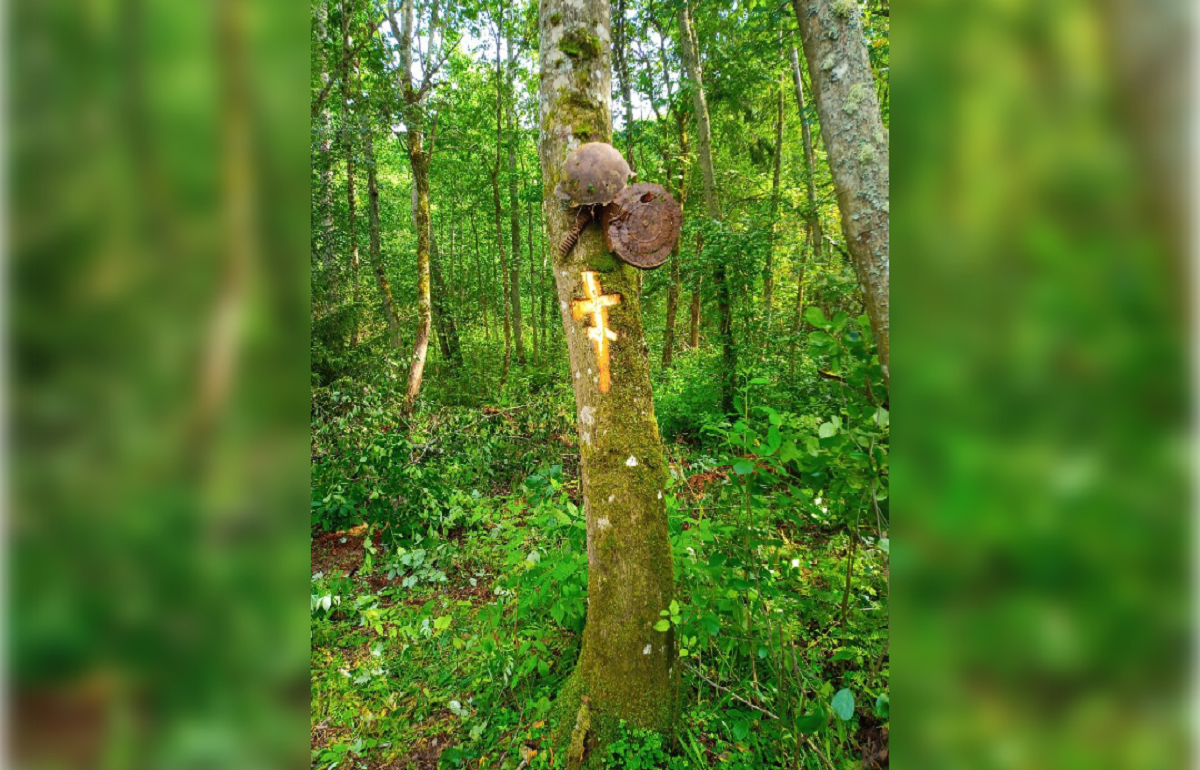 В Селижаровском районе подняли останки 15 красноармейцев - новости Афанасий