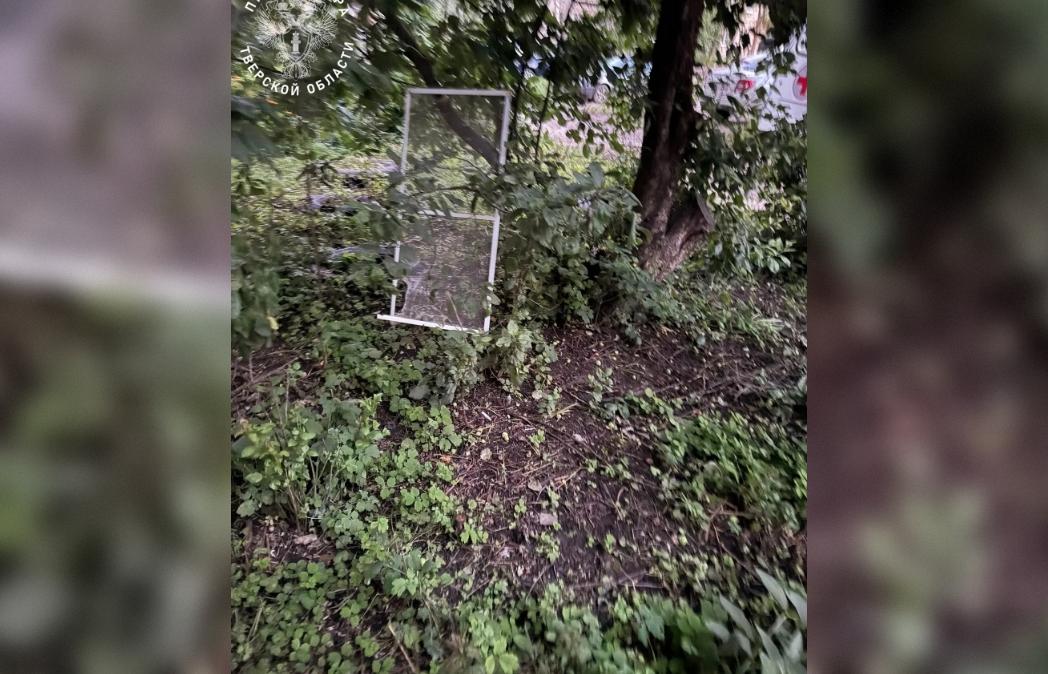 В Осташкове из окна выпали две 10-летние девочки - новости Афанасий