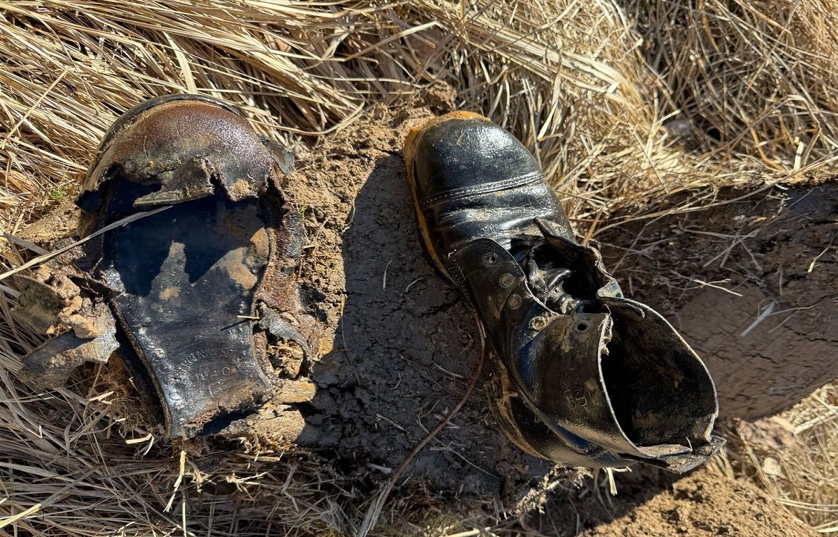 В Зубцовском районе подняли останки бойца заградотряда 31-й Армии Фото: "Поисковое движение Москвы"