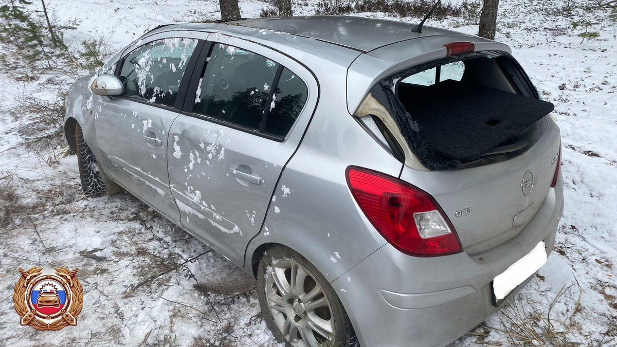 В Тверской области пенсионерка опрокинула машину в кювет Фото: Госавтоинспекция Бологовского округа