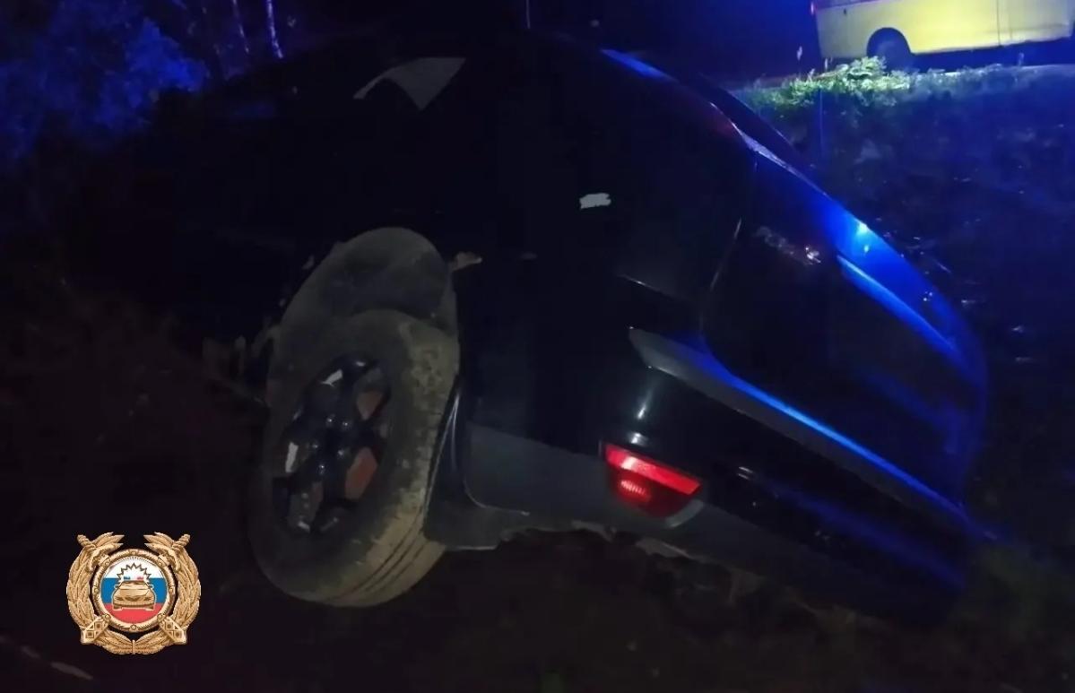 Автомобилистка, врезавшаяся в дерево под Ржевом, пыталась объехать лося - новости Афанасий