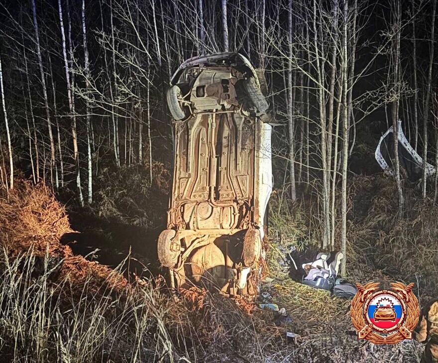 На дороге в Кувшиновском районе погиб водитель легковушки и пострадал ребенок - новости Афанасий