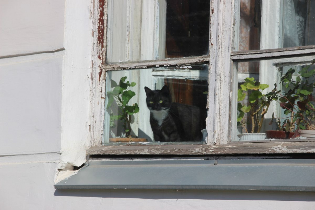 В Твери побит температурный рекорд 41-летней давности Фото: Елена Успенская / архив редакции