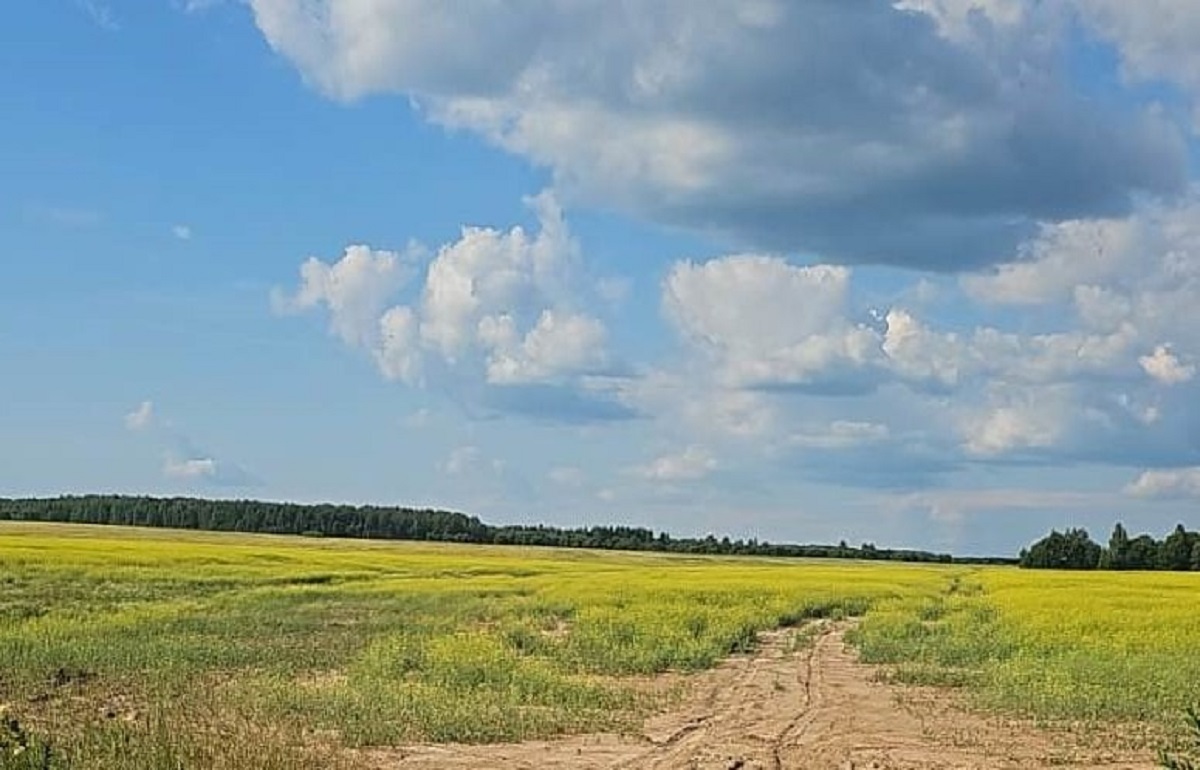 За неисполнение предписания Россельхознадзора землевладельца ждет штраф Фото: Управление Россельхознадзора по Тверской и Ярославской областям