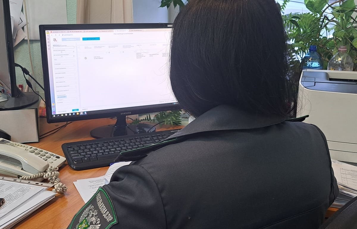 Сбор урожая зерна в Тверской области начинается с оценки его качества