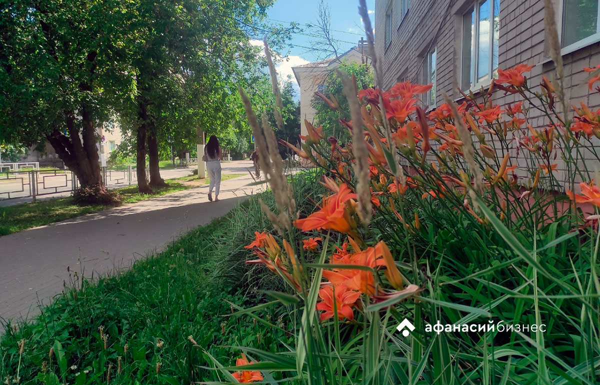 Погода в Твери сегодня все еще будет теплой, но дождливой