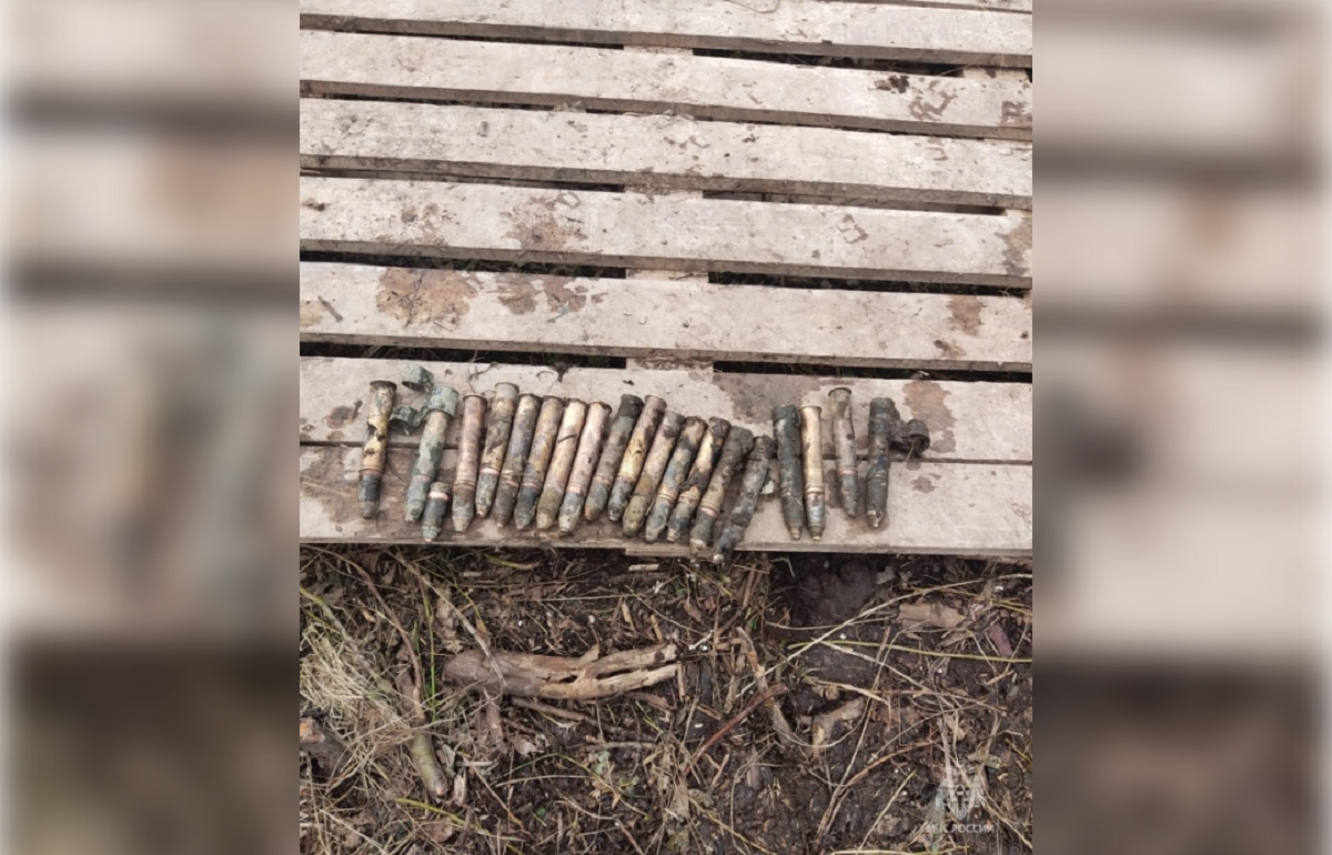 В озере Торопецкого района нашли авиабомбу и снаряды времен ВОВ - новости Афанасий