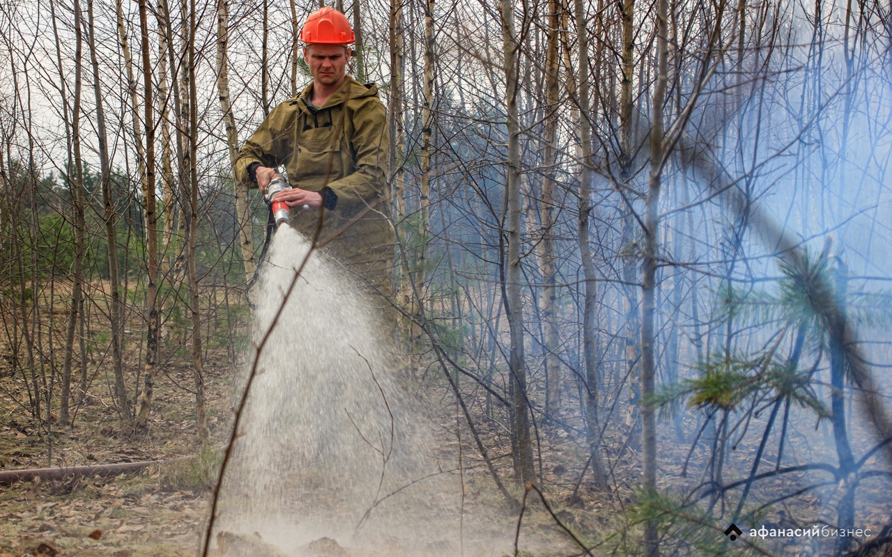 Под Тверью у Радченко горит лес Фото: архив Afanasy.biz