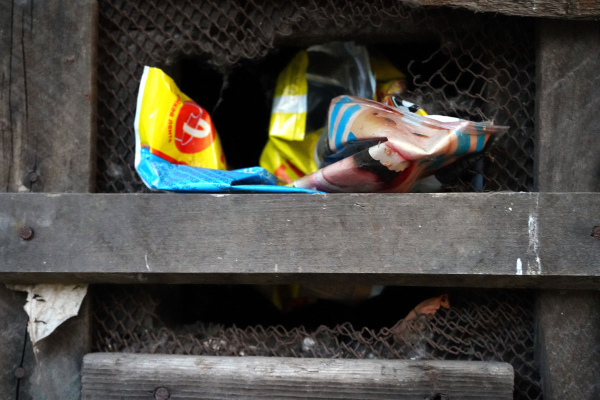 В России с сентября вступают в силу новые требования к площадкам для отходов - новости Афанасий