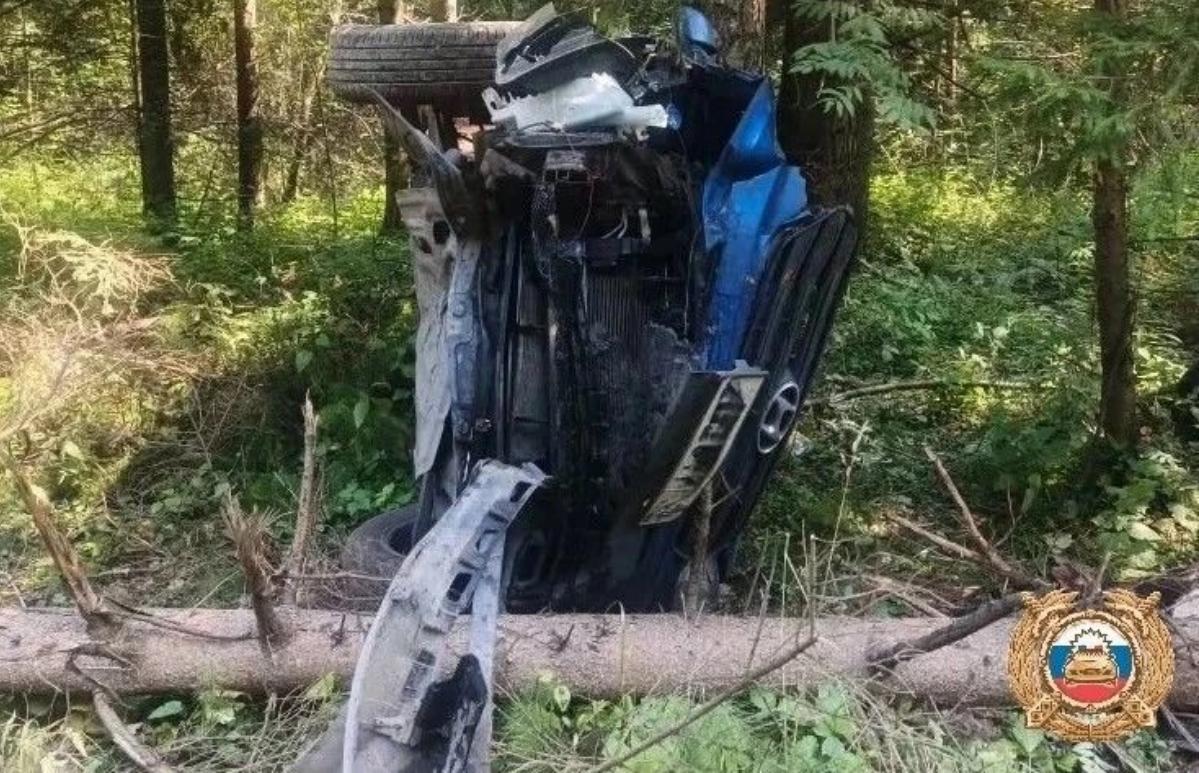 В ГАИ рассказали подробности ДТП с пострадавшей в Калязинском округе - новости Афанасий