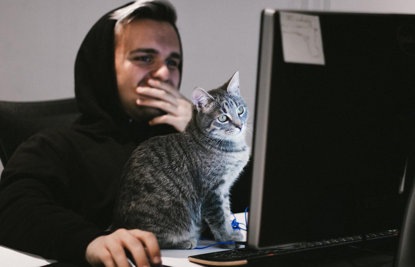 ТЕСТ. Какие опасности подстерегают вас в интернете Photo by Ga, sebastiaan stam, Max Bender, Tom Roberts,  imgix, Nahel Abdul Hadi, Flavio Gasperini, Ilya Yarmosh, Michael Geiger on Unsplash