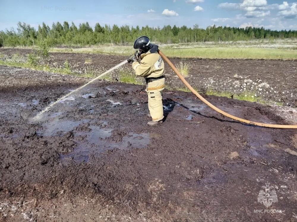 Под Тверью у поселка Орша потушили торфяной пожар Фото: МЧС