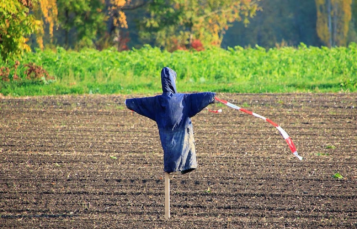 Аферистка из Кимр незаконно получила и продала участок земли - новости Афанасий