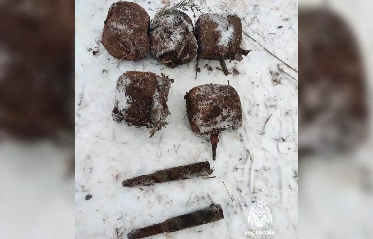 В Бологовском районе нашли кассетные авиабомбы времен ВОВ