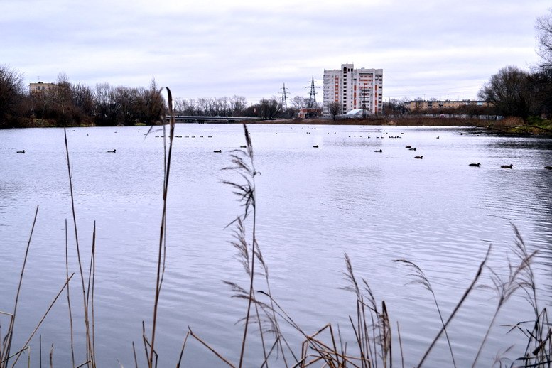 Митрофанов день. Погода в Твери сегодня теплая и дождливая Фото: Afanasy.biz