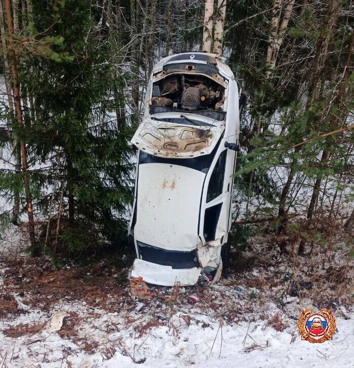 Водитель пострадал в ДТП под Пено Фото: Госавтоинспекция Тверской области