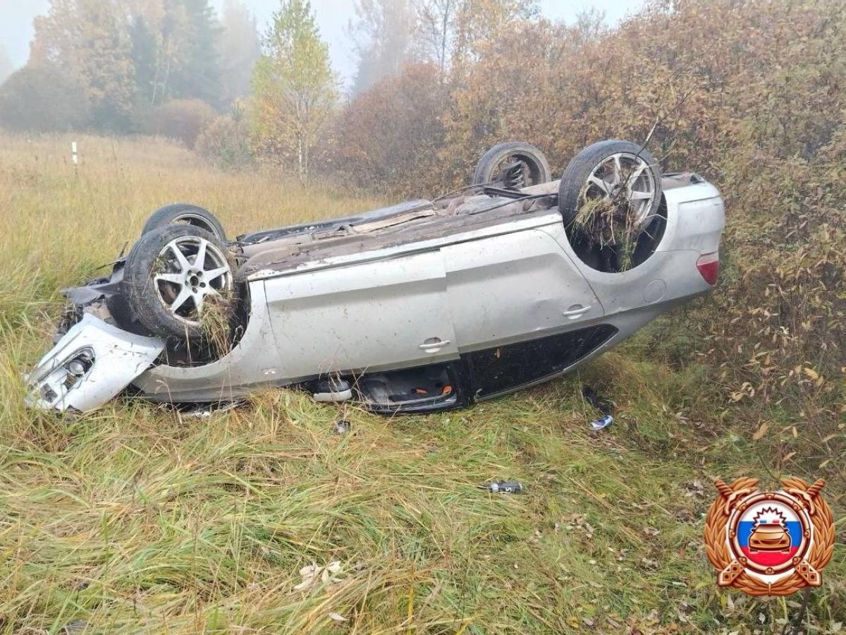В Удомельском округе водитель избежал ДТП с лосем, но все же пострадал Фото: ГАИ