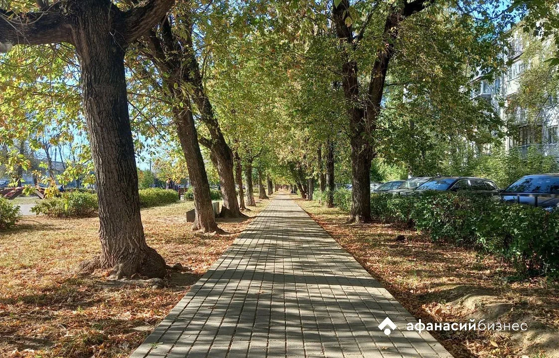 В Твери будет тепло и сухо целую неделю Фото: Afanasy.biz