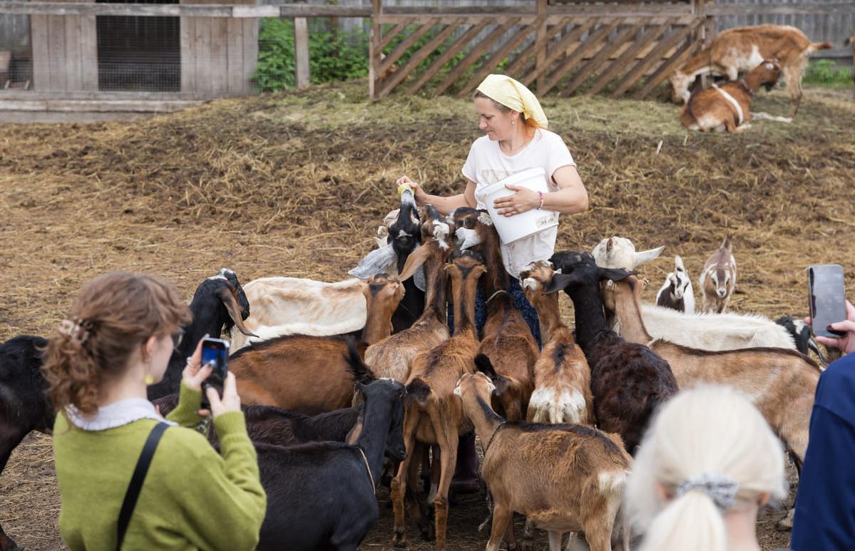 Фермеры Тверской области получили больше 6,8 млн кг продукции на корм животным - новости Афанасий
