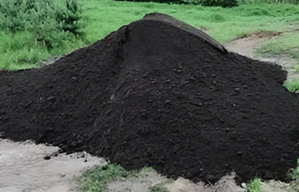 Отказавшийся убирать кучу отходов сосед дважды проиграл суд экологам Твери - новости Афанасий