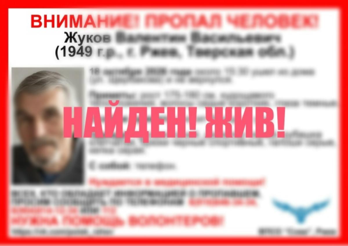 В Тверской области нашли пропавшего 77-летнего мужчину Фото: ВПСО "Сова"