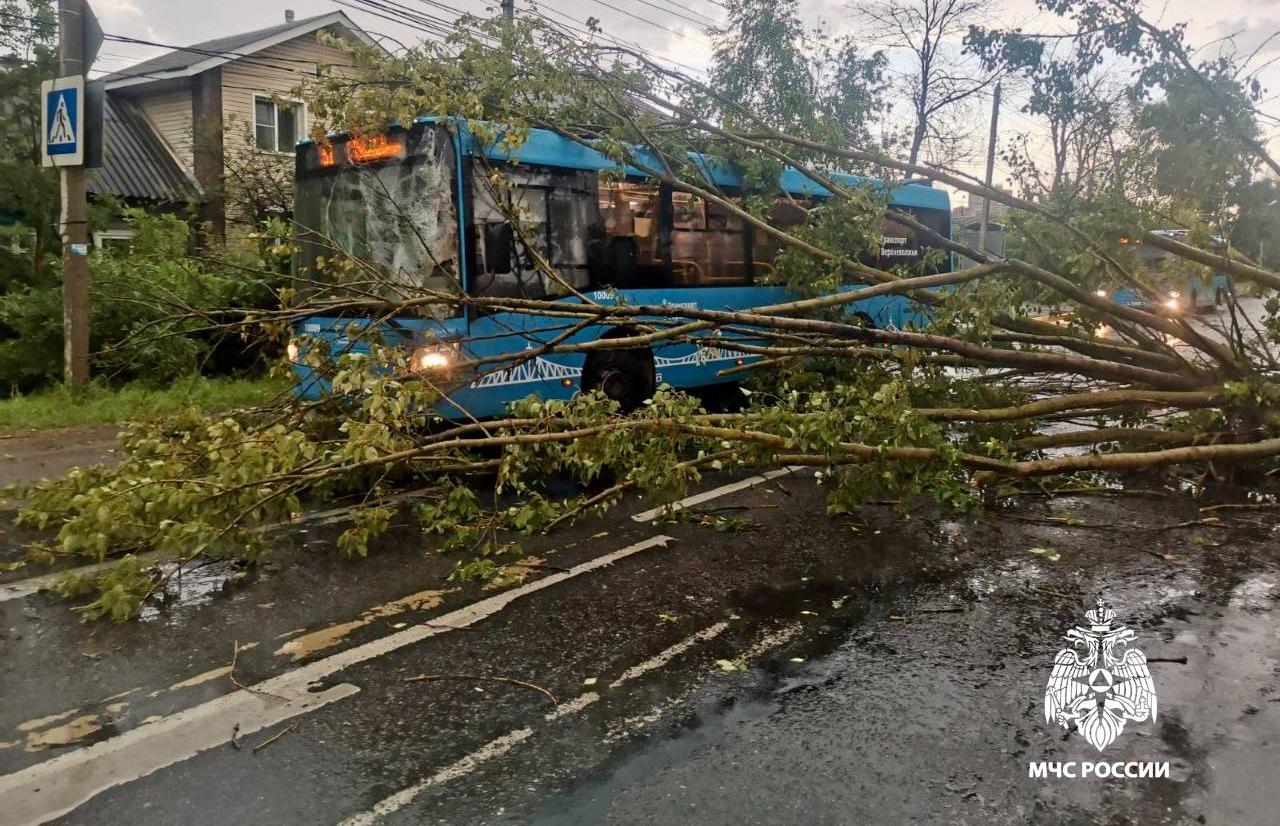 В Твери МЧС ликвидирует последствия стихии
