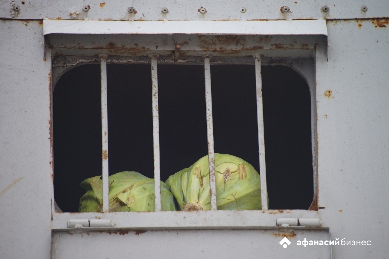 Главное оружие против стихии у дачников это кладочная металлическая сетка Фото: Afanasy.biz