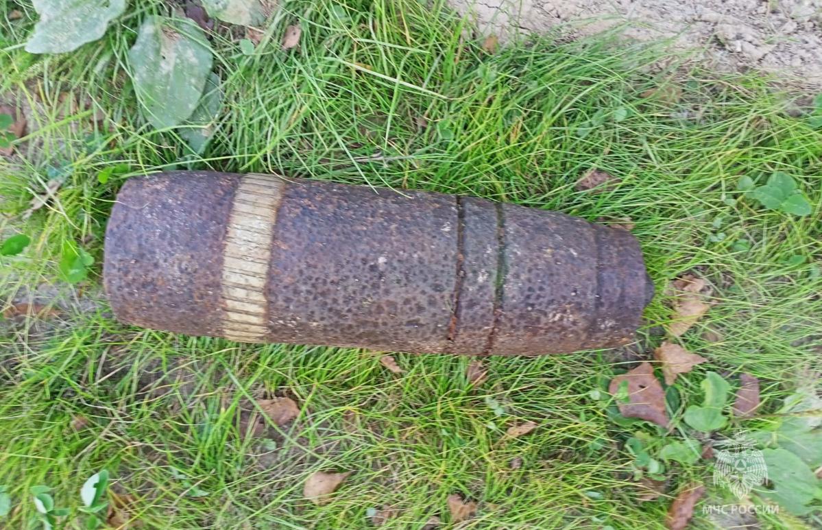 Рядом с деревней в Тверской области нашли артиллерийский снаряд - новости Афанасий