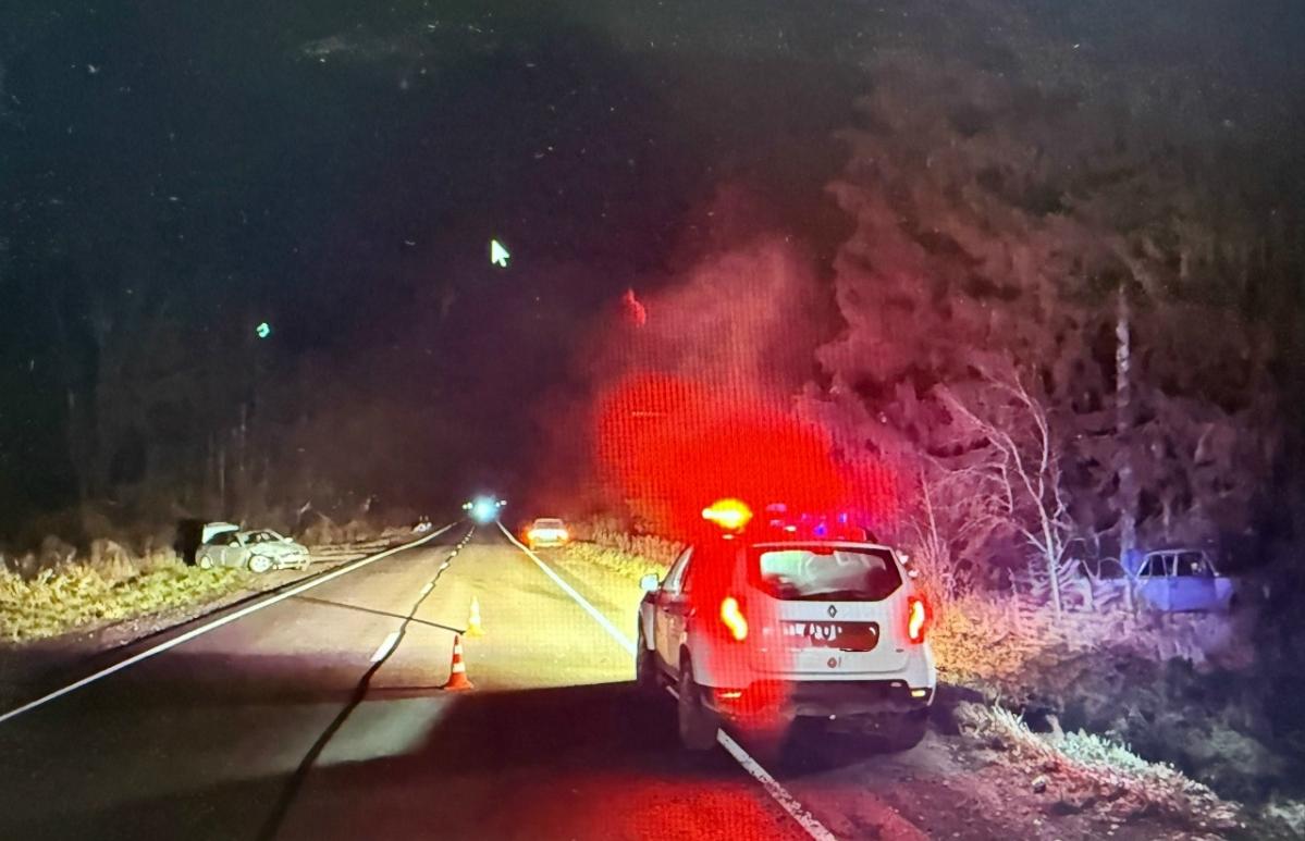 Два человека пострадали в ДТП под Рамешками - новости Афанасий