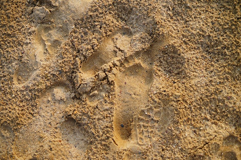 Соленость Азовского моря достигла исторического максимума Фото: архив редакции