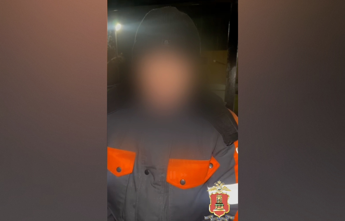 Мужчина в онлайн-игре убедил двух детей из Осташкова прислать интимные фото Фото: УМВД Тверской области