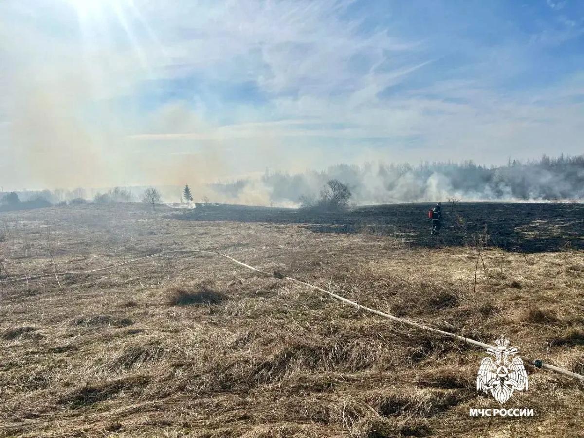 В Тверской области сгорело более 13 га в результате палов травы Фото: МЧС
