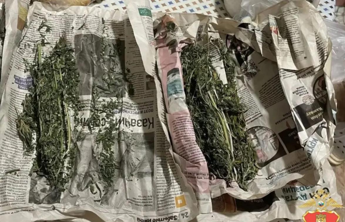 В квартире жителя Зубцова нашли коноплю - новости Афанасий