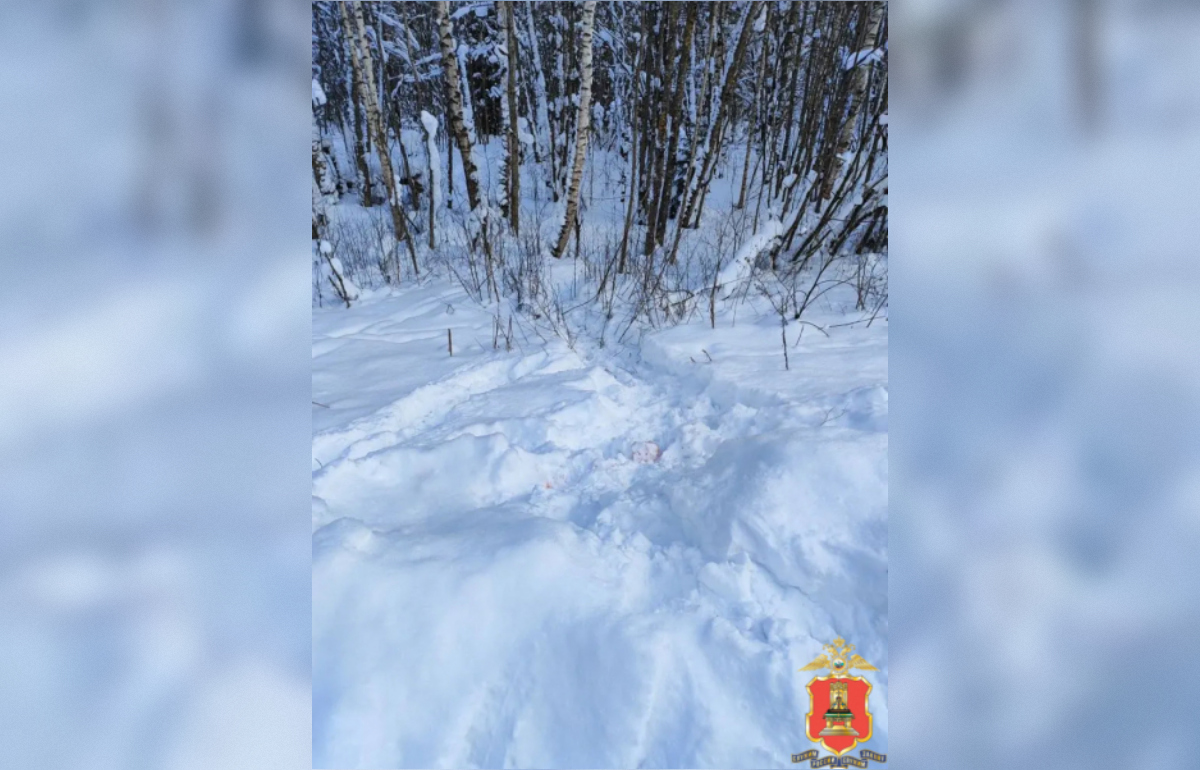 Браконьера из Бежецка задержали в Молоковском районе  - новости Афанасий