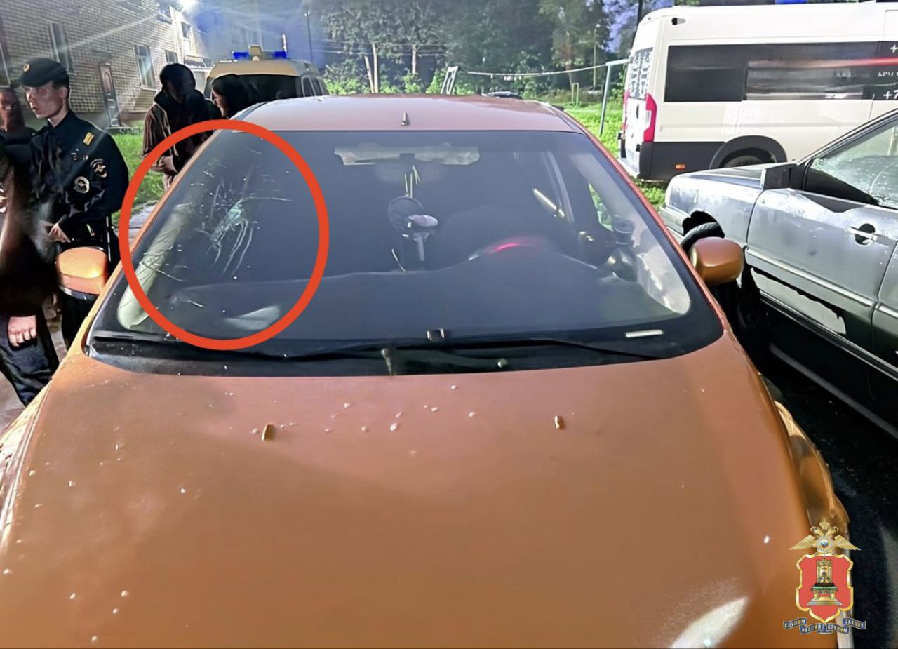 В Нелидово женщина из мести повредила чужую машину Фото: УМВД России по Тверской области