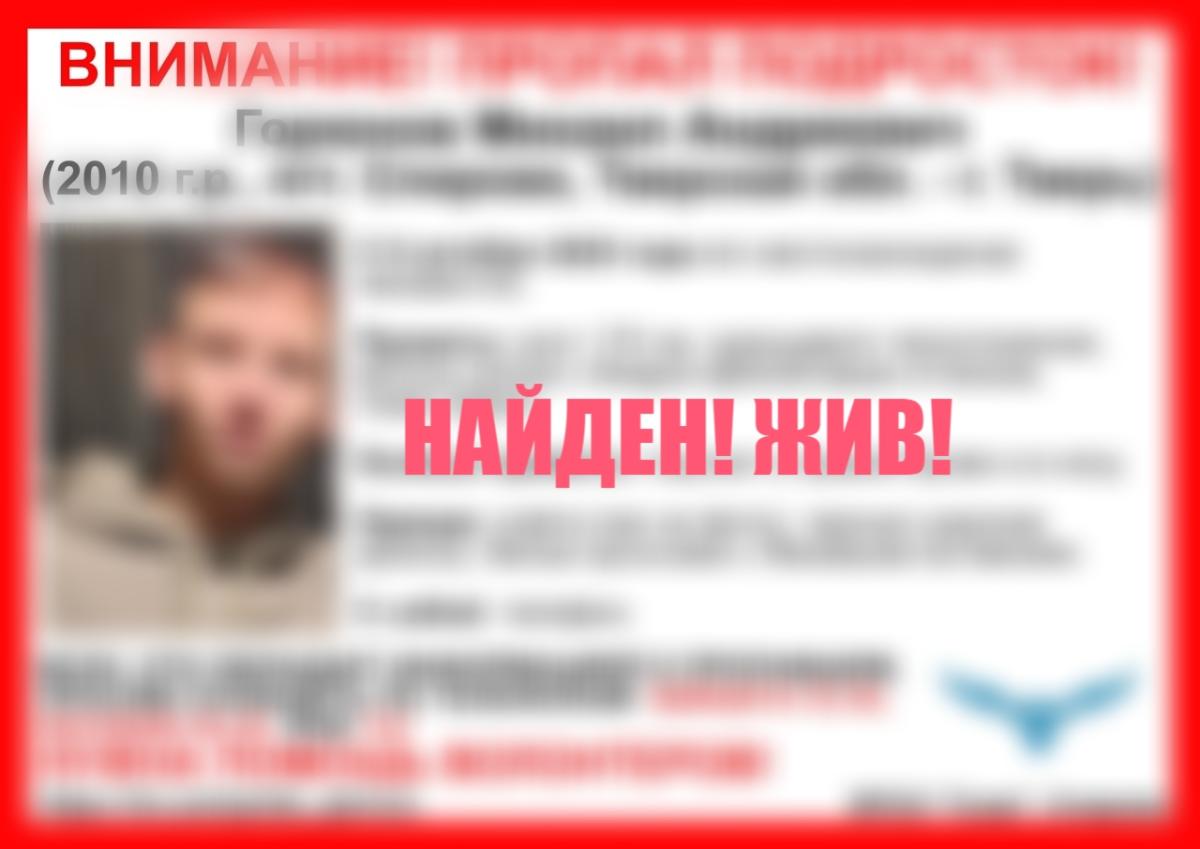 В Тверской области пропал подросток с пирсингом и крашеными волосами Фото: ВПСО "Сова"