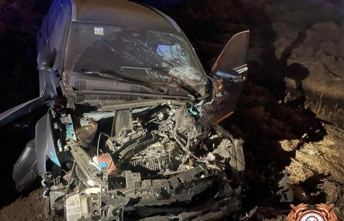 Два человека пострадали в ДТП с КамАЗом в Конаковском округе - новости Афанасий