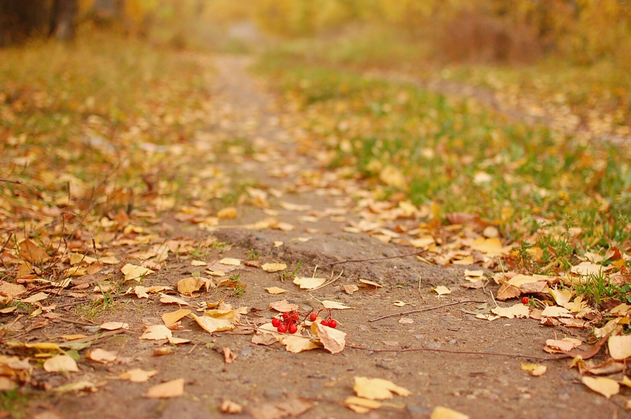 В Тверской области продолжается похолодание Фото: архив Afanasy.biz